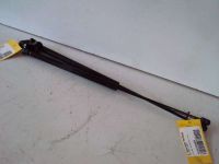 Gasdruckfeder Heckklappe <br>FORD PUMA  (TYP:ECT)