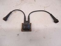 Z�ndspule Doppelspule<br>RENAULT LAGUNA I