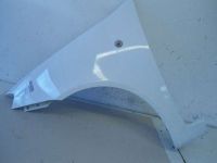 Kotfl�gel links vorn <br>FIAT PUNTO (188_) 1.2 60