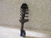 Federbein vorn rechts / links <br>RENAULT CLIO II (BB0/1/2_, CB0/1/2_) 1.5 DCI