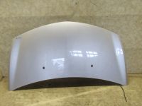 Motorhaube <br>RENAULT CLIO III (BR0/1, CR0/1) 1.2 16V