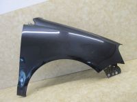 Kotfl�gel rechts ab 05/05, LC9Z<br>VW POLO (9N_) 1.2 12V